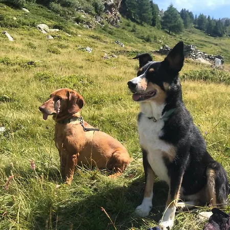 La Ghianda Con Terrazza Διαμέρισμα